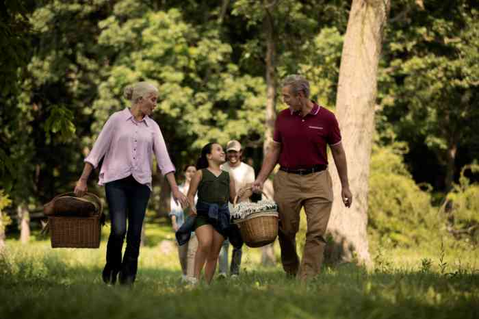 family walking together during a picnic.