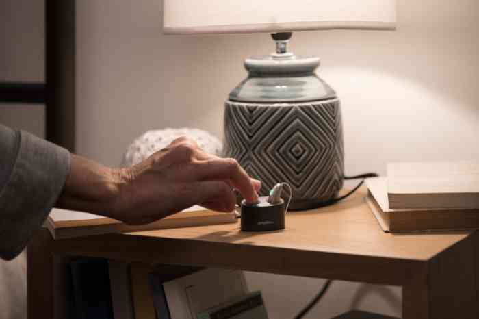 Rechargeable hearing aids in their charger